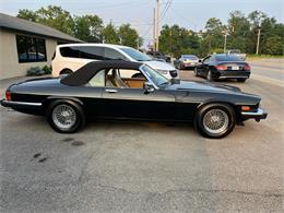 1991 Jaguar XJS (CC-2090211) for sale in Heath, Ohio