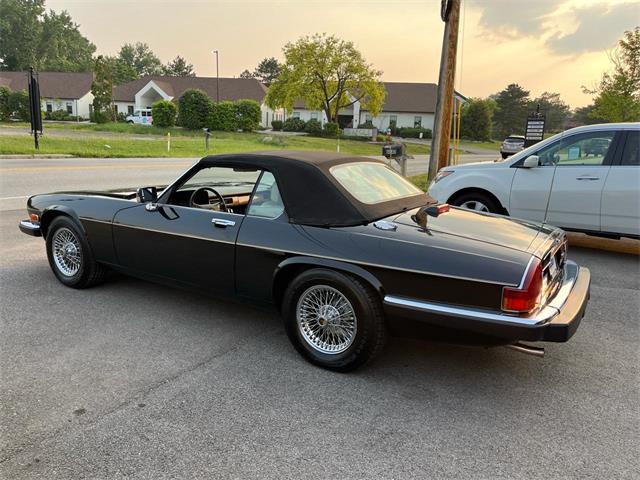 1991 Jaguar XJS (CC-2090211) for sale in Heath, Ohio
