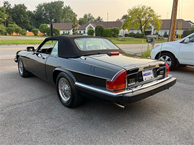 1991 Jaguar XJS (CC-2090211) for sale in Heath, Ohio