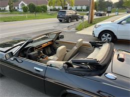 1991 Jaguar XJS (CC-2090211) for sale in Heath, Ohio