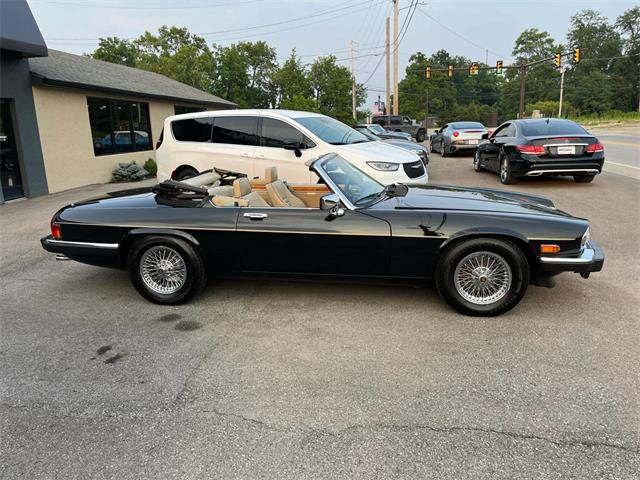 1991 Jaguar XJS (CC-2090211) for sale in Heath, Ohio
