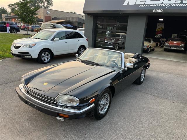 1991 Jaguar XJS (CC-2090211) for sale in Heath, Ohio
