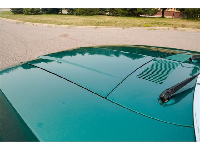 1979 Ford Pinto (CC-2092120) for sale in Ramsey, Minnesota