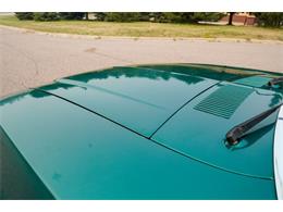 1979 Ford Pinto (CC-2092120) for sale in Ramsey, Minnesota