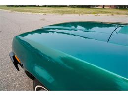 1979 Ford Pinto (CC-2092120) for sale in Ramsey, Minnesota