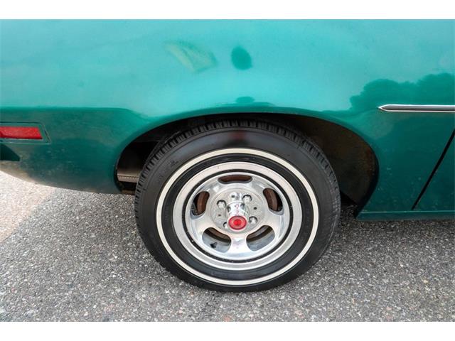 1979 Ford Pinto (CC-2092120) for sale in Ramsey, Minnesota