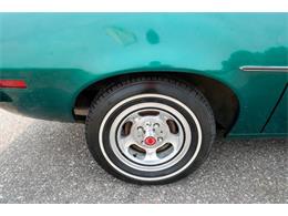 1979 Ford Pinto (CC-2092120) for sale in Ramsey, Minnesota