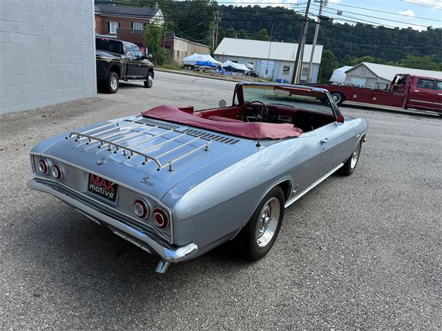1965 Chevrolet Corvair (CC-2092124) for sale in Pittsburgh, Pennsylvania
