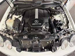 2001 Mercedes-Benz CL-Class (CC-2092128) for sale in Mundelein, Illinois