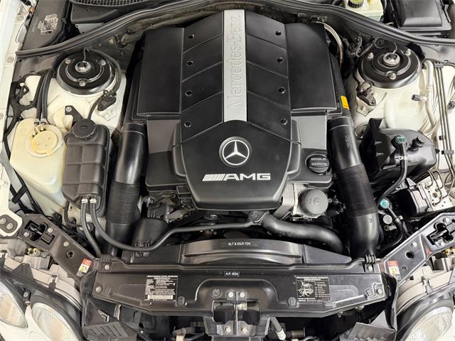 2001 Mercedes-Benz CL-Class (CC-2092128) for sale in Mundelein, Illinois