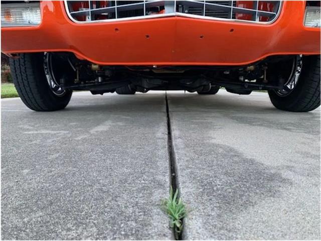 1972 Chevrolet Camaro (CC-2092149) for sale in Reno, Nevada