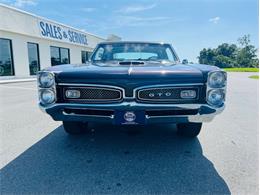 1967 Pontiac GTO (CC-2092179) for sale in Largo, Florida