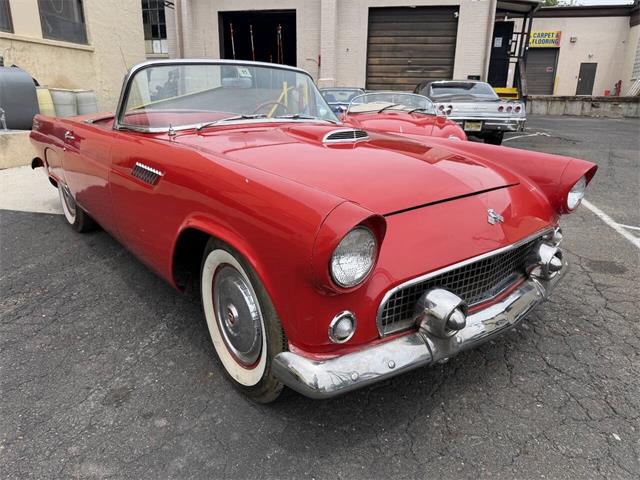 1955 Ford Thunderbird (CC-2090219) for sale in Penndel, Pennsylvania