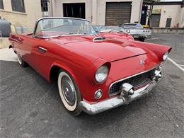 1955 Ford Thunderbird (CC-2090219) for sale in Penndel, Pennsylvania