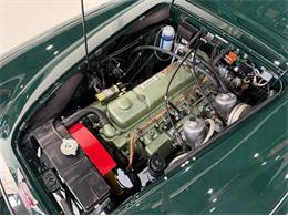 1967 Austin-Healey 3000 (CC-2092226) for sale in Roanoke, Texas