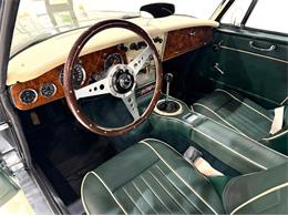 1967 Austin-Healey 3000 (CC-2092226) for sale in Roanoke, Texas