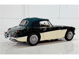 1967 Austin-Healey 3000 (CC-2092226) for sale in Roanoke, Texas