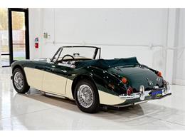 1967 Austin-Healey 3000 (CC-2092226) for sale in Roanoke, Texas