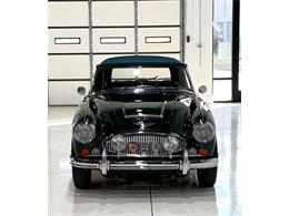 1967 Austin-Healey 3000 (CC-2092226) for sale in Roanoke, Texas