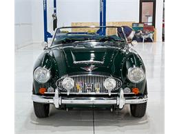 1967 Austin-Healey 3000 (CC-2092226) for sale in Roanoke, Texas