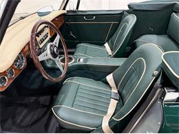1967 Austin-Healey 3000 (CC-2092226) for sale in Roanoke, Texas