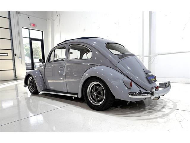 1961 Volkswagen Beetle (CC-2092230) for sale in Roanoke, Texas