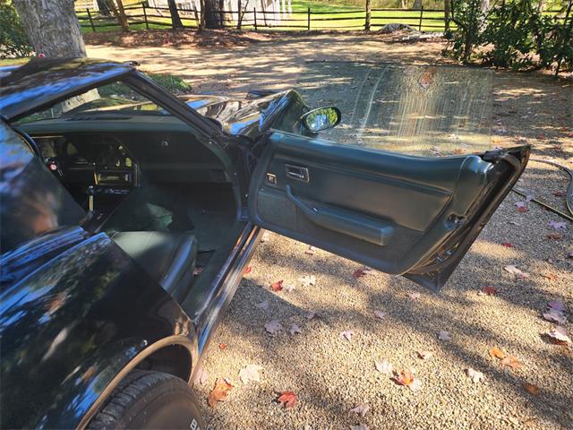 1979 Chevrolet Corvette Stingray (CC-2092268) for sale in Pittsbirgh , Pennsylvania