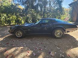 1979 Chevrolet Corvette Stingray (CC-2092268) for sale in Pittsbirgh , Pennsylvania