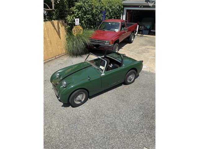 1960 Austin-Healey Sprite (CC-2092285) for sale in Brightwaters , New York