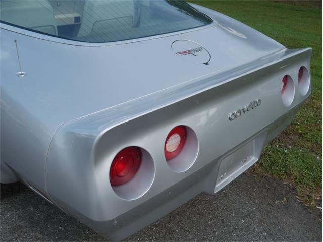 1980 Chevrolet Corvette (CC-2092364) for sale in Palmetto, Florida