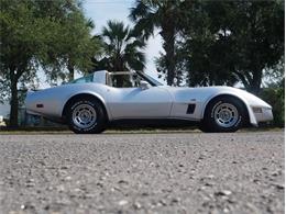 1980 Chevrolet Corvette (CC-2092364) for sale in Palmetto, Florida
