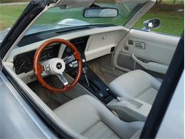 1980 Chevrolet Corvette (CC-2092364) for sale in Palmetto, Florida