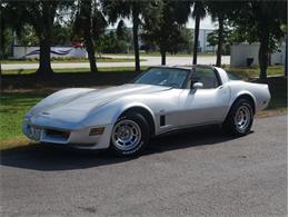 1980 Chevrolet Corvette (CC-2092364) for sale in Palmetto, Florida
