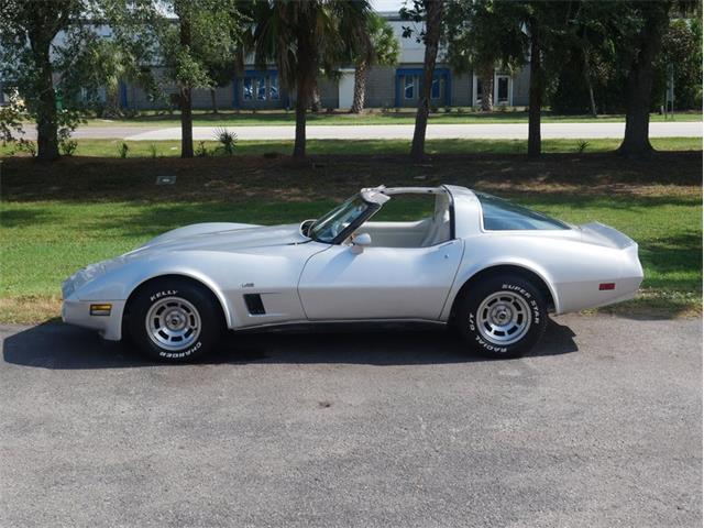 1980 Chevrolet Corvette (CC-2092364) for sale in Palmetto, Florida