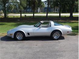 1980 Chevrolet Corvette (CC-2092364) for sale in Palmetto, Florida