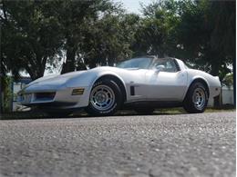 1980 Chevrolet Corvette (CC-2092364) for sale in Palmetto, Florida