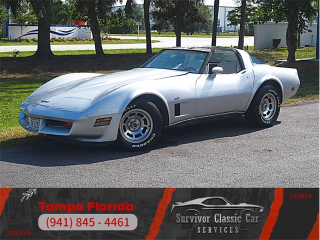 1980 Chevrolet Corvette (CC-2092364) for sale in Palmetto, Florida