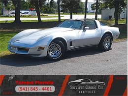 1980 Chevrolet Corvette (CC-2092364) for sale in Palmetto, Florida