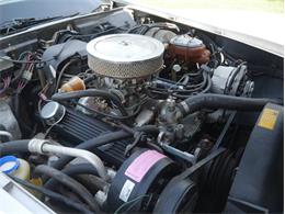 1980 Chevrolet Corvette (CC-2092364) for sale in Palmetto, Florida