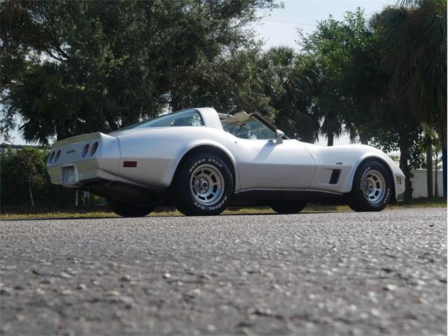 1980 Chevrolet Corvette (CC-2092364) for sale in Palmetto, Florida