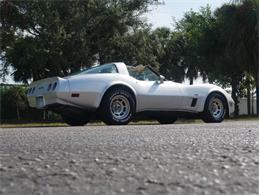 1980 Chevrolet Corvette (CC-2092364) for sale in Palmetto, Florida