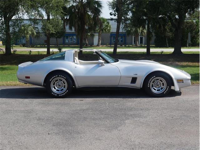 1980 Chevrolet Corvette (CC-2092364) for sale in Palmetto, Florida