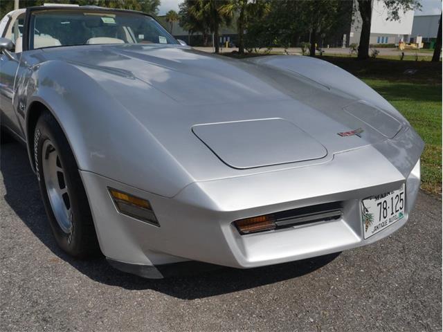 1980 Chevrolet Corvette (CC-2092364) for sale in Palmetto, Florida
