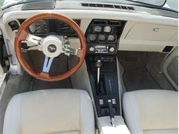 1980 Chevrolet Corvette (CC-2092364) for sale in Palmetto, Florida