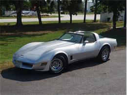 1980 Chevrolet Corvette (CC-2092364) for sale in Palmetto, Florida