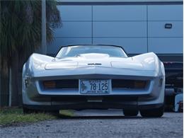 1980 Chevrolet Corvette (CC-2092364) for sale in Palmetto, Florida