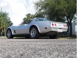 1980 Chevrolet Corvette (CC-2092364) for sale in Palmetto, Florida