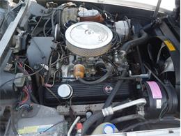 1980 Chevrolet Corvette (CC-2092364) for sale in Palmetto, Florida