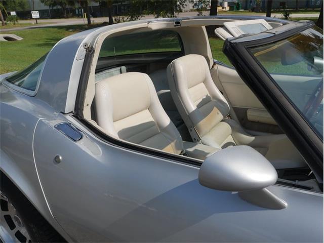 1980 Chevrolet Corvette (CC-2092364) for sale in Palmetto, Florida