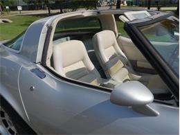 1980 Chevrolet Corvette (CC-2092364) for sale in Palmetto, Florida